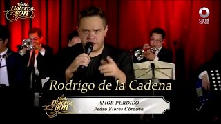 Amor Perdido - Rodrigo de la Cadena - Noche, Boleros y Son