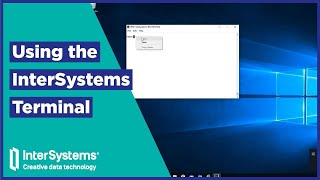 Using the InterSystems Terminal