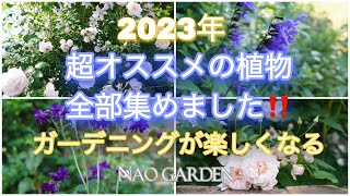 【ガーデニングVlog】2023年に向けて｜ガーデニングが楽しくなる〜超オススメ植物・全部集めました♪｜Recommended plants for the four seasons