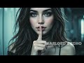 Warlord's Echo - Fire In You  [Official Audio]