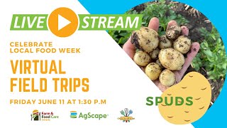 Virtual Field Trip: Potato Farm