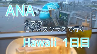 ANA ホヌのビジネスクラスで行くHawaii  1日目シェラトンワイキキ/デラックスオーシャンフロント/アップグレード/アランチーノ/高橋果実店/하와이