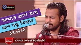 Amar Pran Jay Pran Bondhu Bihone I আমার প্রাণ যায় I Ashik I Radha Romon I Bangla Folk  Song