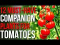 12 Companion Plants For Tomatoes! | What To Plant With Tomatoes