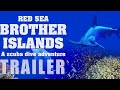 RED SEA: BROTHER ISLANDS – A SCUBA DIVE ADVENTURE Official Trailer (2024) Documentary