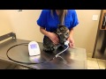 SunTech Vet BP: Proper BP Cuff Placement (2 of 4)