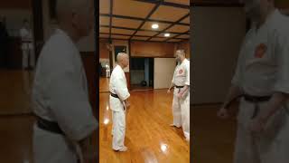 Gojiryu Kaisai Kumite 剛柔流　解裁の応用組手