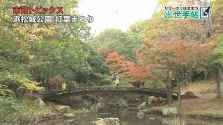 浜松城公園紅葉もみじまつり