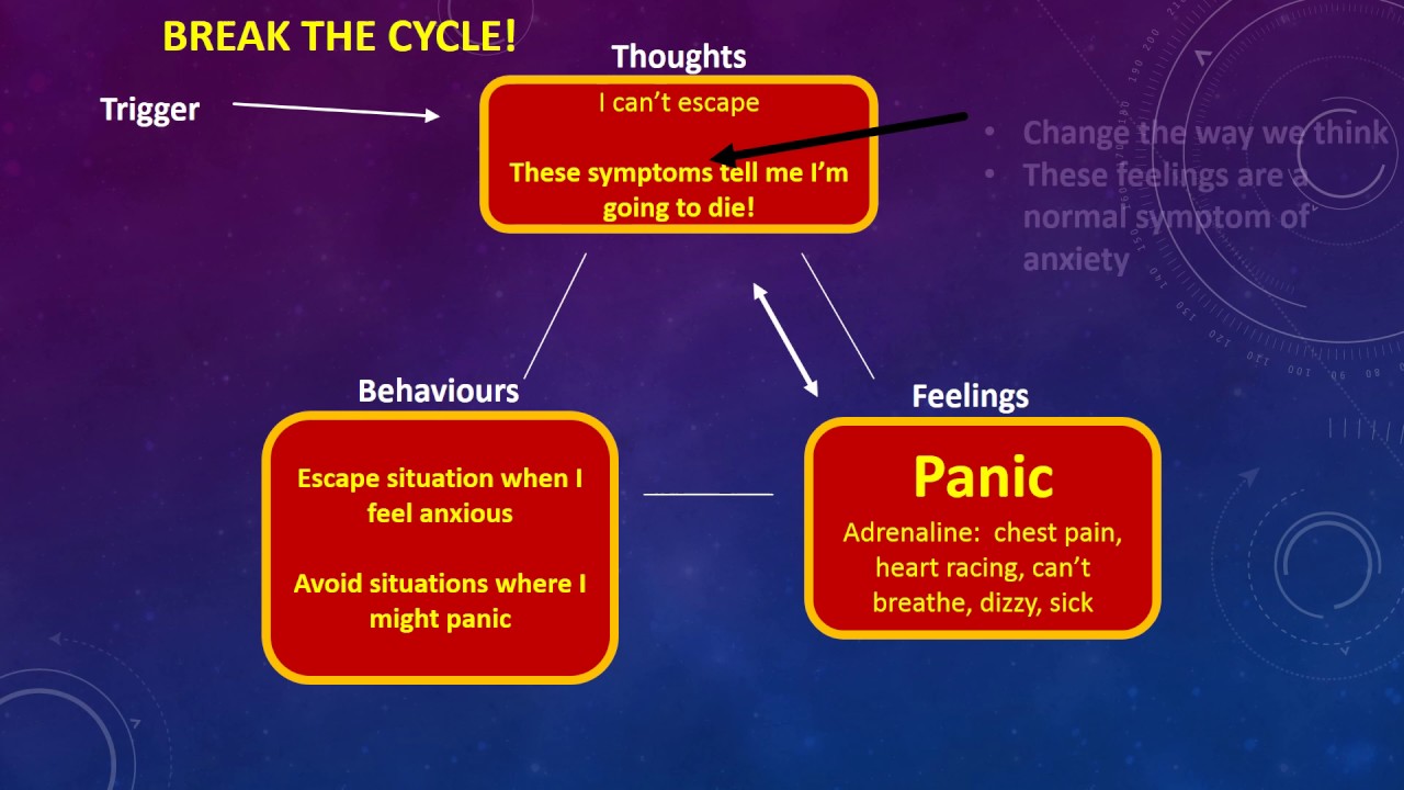 Panic Disorder Cycle