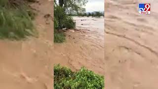 Heavy Rains in Chittoor : చిత్తూరు జిల్లాలో వాగులో కొట్టుకుపోయిన ఆవులు  - TV9