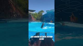 Dolphin Show at ZooMarine Algarve! 🐬 #portugal #zoomarine #algarve #dolphin #show #albufeira #2023