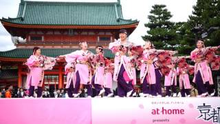 京都八木よさこい　第12回京都さくらよさこい 1日目 神宮道（審査会場）