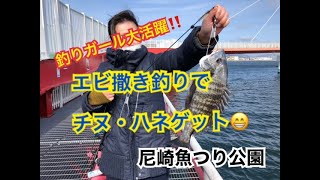 釣りガール大活躍！ハネ・チヌゲット！fishingmax武庫川店