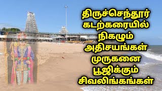 திருச்செந்தூர் கடற்கரையில் நிகழும் அதிசயங்கள்! முருகனை பூஜிக்கும் சிவலிங்கம்!!