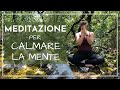 Meditazione Guidata ⎮Per Calmare La Mente