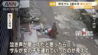 野生サル 3歳女児連れ去りか…無事救出 中国(動物愛誤)(製造車禍.傷人.人身被害)(Animal Attacks)(アニマルホーダー)(COVID-19)(猴痘.サル痘)(Bウイルス病)(狂犬病)