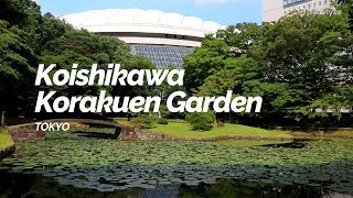 Koishikawa Korakuen Garden, Tokyo | Japan Travel Guide