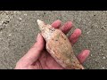 ビーチコーミング part5 貝殻拾い　イトマキヒタチオビ　海　シーグラス　beachcomber shell beachcombing beach glass