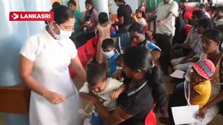 swine flu Infected 22 People in Vavuniya