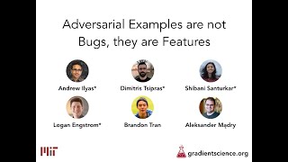 Adversarial Examples Are Not Bugs, They Are Features: NeurIPS 2019 Video