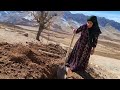 mother safe haven nomadic mother tireless efforts to build shelter in the mountains