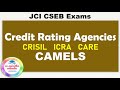 Credit Rating Agencies I CAMELS