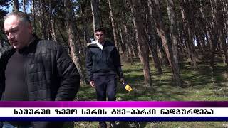 ხაშურში ზემო სერის ტყე–პარკი ნადგურდება