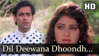 Dil Deewana Dhoondh Raha Hai - Salman Khan - Sridevi - Chand Ka Tukda - Bollywood Songs