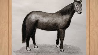 How to draw a realistic horse/ Horse drawing easy step by step/ Horse drawing with charcoal