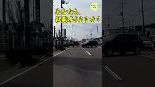 危険⁉️衝撃の瞬間 #ドラレコ #バイク #衝撃映像 #shorts #安全運転