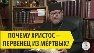 ПОЧЕМУ ХРИСТОС ПЕРВЕНЕЦ ИЗ МЕРТВЫХ? Cвященник Олег Стеняев