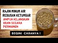 Ketumbar Untuk Menghilangkan Uban Dengan Cepat & Permanen !