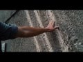 Jurassic World Official Trailer