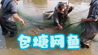 包塘网鱼 #农村生活 #田园生活 #广西 #种田 #养鱼 #village #farming #fishing