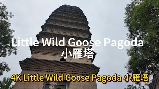 4K Little Wild Goose Pagoda 中国西安 小雁塔 漫步