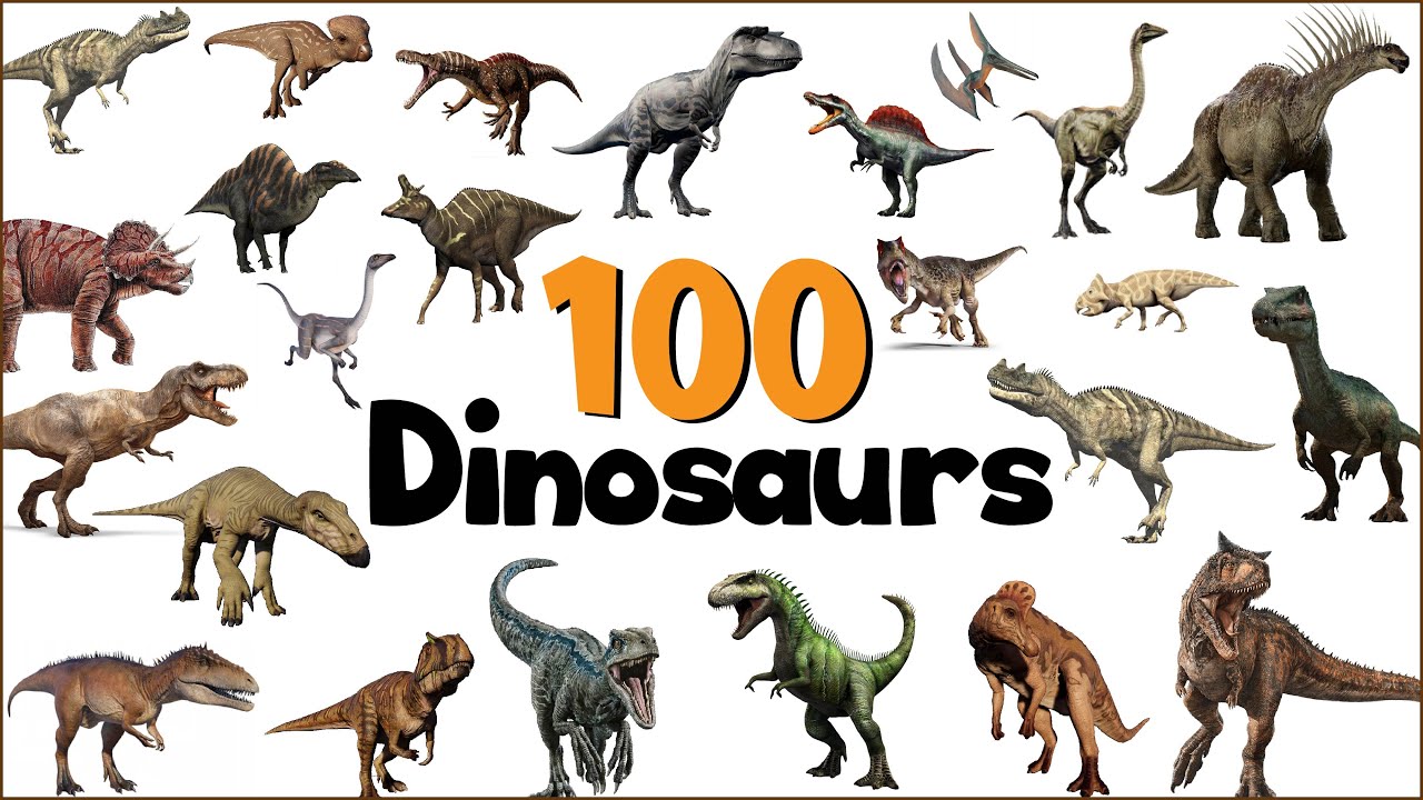 100 Dinosaur Names In English With Pictures Learn Dinosaur Names