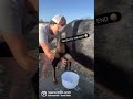 when you try to make a milk video.... “try” milkgoats homesteading milking ranchlife