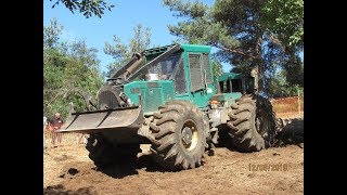 Concours de débardage et fête du bois 2018