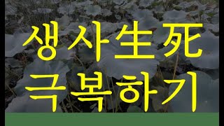 [깨달음TV]'생사生死' 극복하기