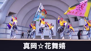 📌真岡☆花舞嬉 原宿表参道元氣祭2023