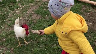 Doğada üstümüze horoz saldırdı, çok korktuk