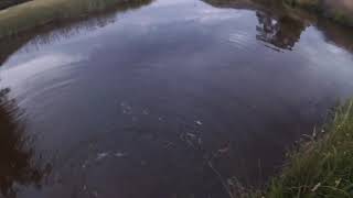 McGrath Spinnerbaits