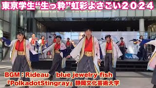 東京学生“生っ粋”　虹彩よさこい　２０２４  BGM：Rideau    blue jewelry fish   『PolkadotStingray』静岡文化芸術大学