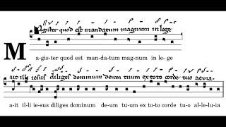 Magister Quod est Mandatum Magnum, Antiphon