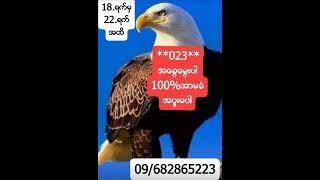 2Dအေခြေမြးကြက္ပါလက္တြဲၾကည့္ဖို႔ဖိတ္ေခၚပါတယ္