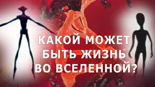 Какой может быть жизнь во Вселенной?