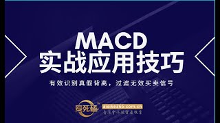 MACD指标实战教学 背离有效识别寻买点三【邹衍讲堂】