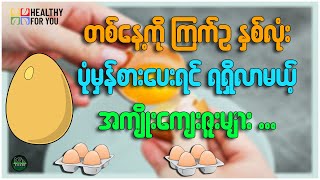 တစ်နေ့ကိုကြက်ဥနှစ်လုံး ပုံမှန်စားပေးရင် ရရှိလာမယ့် အကျိုးကျေးဇူးများ ( Healthy For You Myanmar )