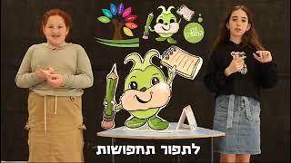 לב ברויאר- חנן המאורגן - תיפקודים ניהוליים