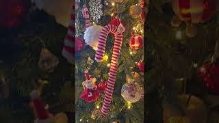 #xmasdecor #xmastree #sinsay #vlogmas #christmas #youtubeshorts #candycane #sinsay #sinsayhaul